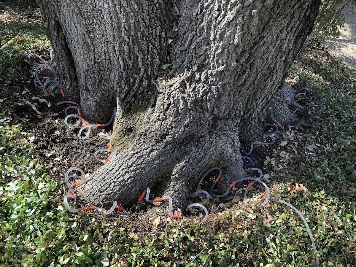 Detailed Shrub and Hedge Trimming job site in Letha